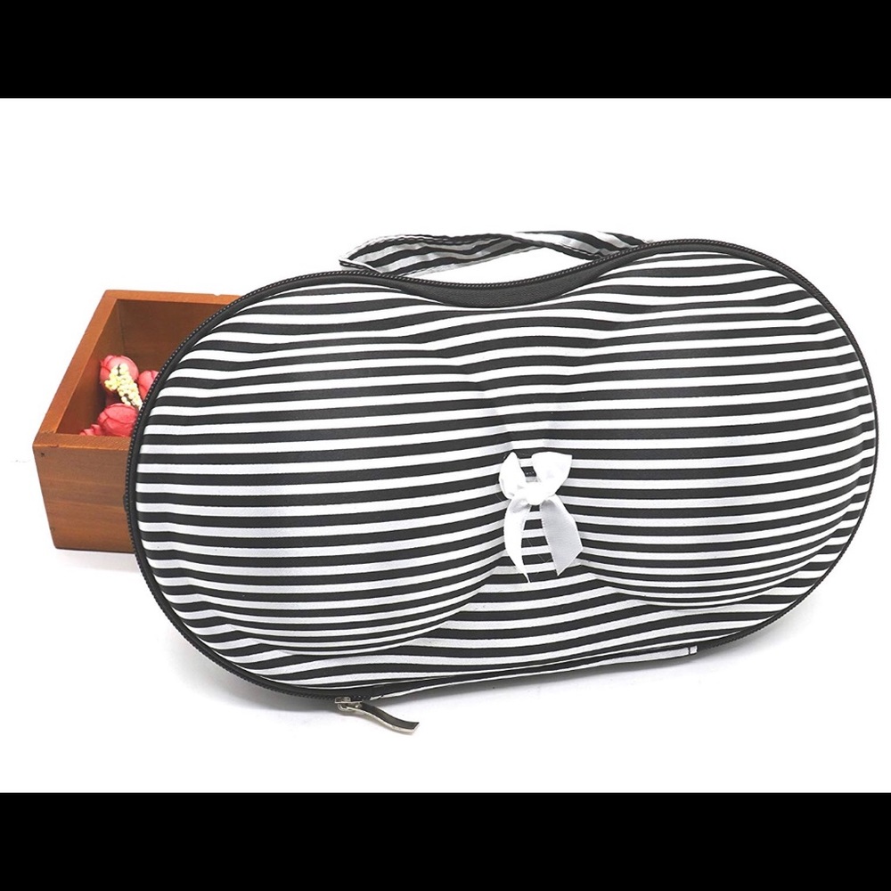 Travel Bra And Panty Stylish Case